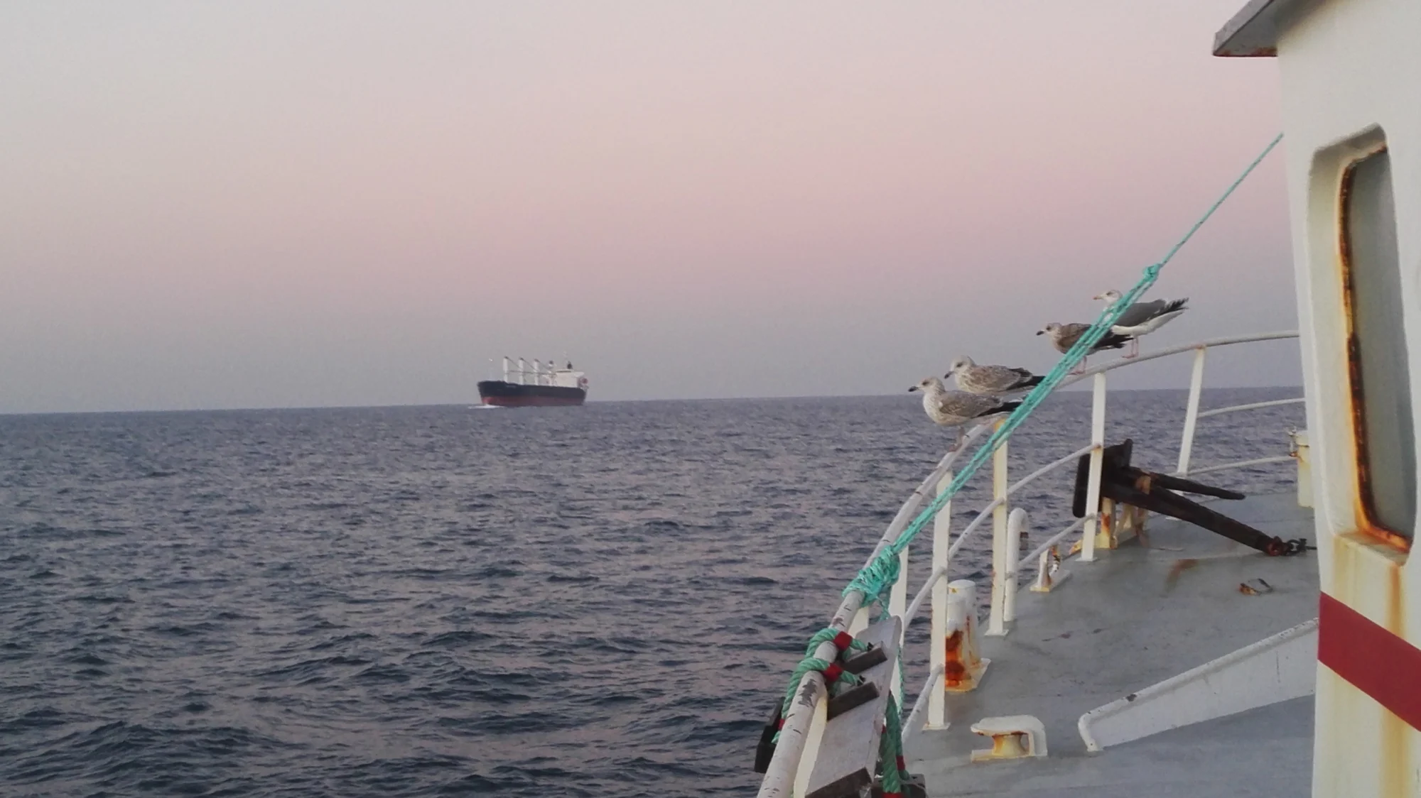 horizon en mer vu d’un bateau de pêche avec mouettes vers un bateau de la marine marchande