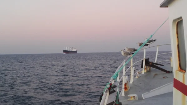 horizon en mer vu d’un bateau de pêche avec mouettes vers un bateau de la marine marchande